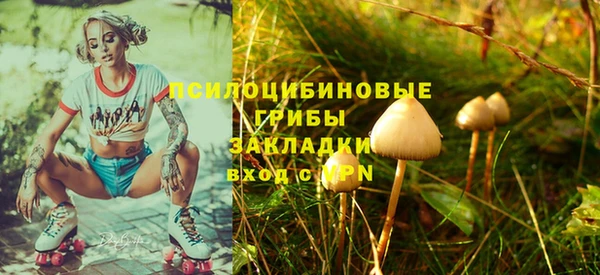 амф Алзамай