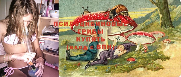 прущие грибы Алексеевка